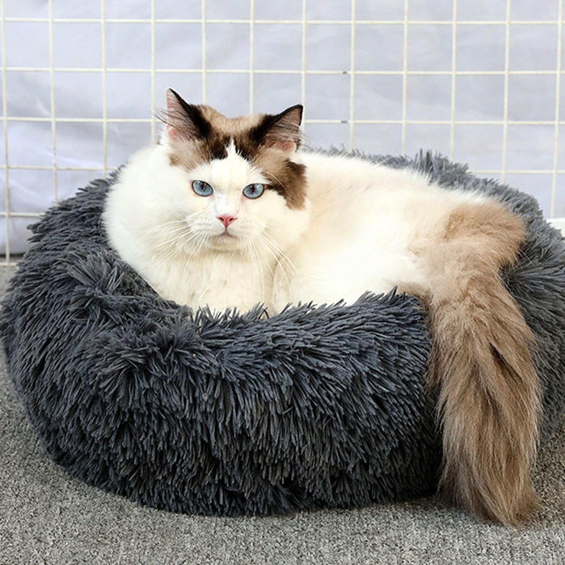 Lemuluxe Cat Beds for Indoor Cats, 20 inches Cat Bed Calming Plush Cat Bed Anti-Slip Round Fluffy Dog Bed Donut Dog Bed Soft Puppy Pet Bed Cat Beds for Small Medium Dogs Kittens (Dark Grey)