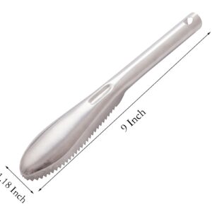 Fish Scaler Remover, 2 Pcs 9 Inch Stainless Steel Tooth Profile Fish Scale Scarper for Kitchen Tools (2)