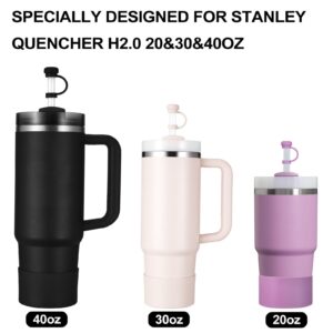 HYZ 8 Piece Accessories for Stanley Cup, Silicone Spill Proof Stopper Set and Protective Boot Including Straw Cover Cap for Stanley H2.0 20oz 30oz 40oz Tumbler, Black