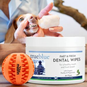 TrueBlue Dog Dental Wipes, 0.01 Oz, Parsley & Peppermint Pre-Moistened Teeth Cleaning Pads For Fresh Breath, Plaque & Tartar Removal, With Teeth Cleaning Pet Chew , Pet Dental Wipes (Pack Of 3)