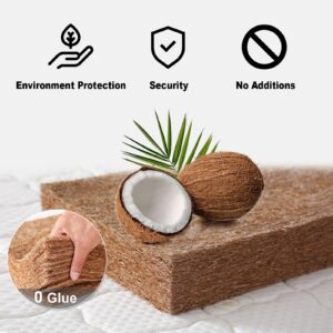 Enchantia Coir Mattress, 3E Natural Hard Coconut Mattress Release Pressure, Ergonomic Design Coir Queen Mattress, Deep Sleep - Suitable for All Ages, 2in/5cm,White b,150x190(59 * 75 * 2in)