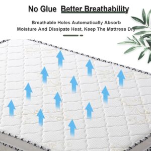 Enchantia Coir Mattress, 3E Natural Hard Coconut Mattress Release Pressure, Ergonomic Design Coir Queen Mattress, Deep Sleep - Suitable for All Ages, 2in/5cm,White b,150x190(59 * 75 * 2in)