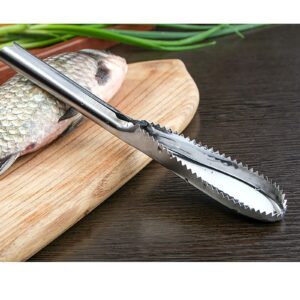 Fish Scaler Remover, 2 Pcs 9 Inch Stainless Steel Tooth Profile Fish Scale Scarper for Kitchen Tools (2)