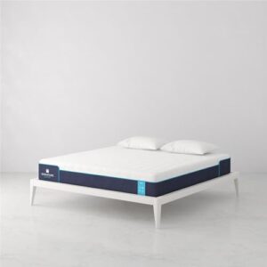 Signature Sleep Bliss 10 Inch Charcoal Cool Gel Memory Foam Mattress-in-a-Box, Medium, Certipur-US and Oeko-TEX, King