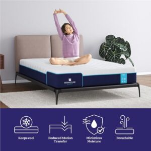 Signature Sleep Bliss 10 Inch Charcoal Cool Gel Memory Foam Mattress-in-a-Box, Medium, Certipur-US and Oeko-TEX, King