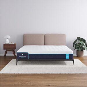 Signature Sleep Bliss 10 Inch Charcoal Cool Gel Memory Foam Mattress-in-a-Box, Medium, Certipur-US and Oeko-TEX, King