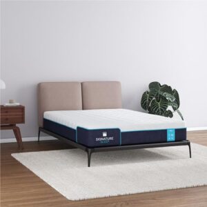 Signature Sleep Bliss 10 Inch Charcoal Cool Gel Memory Foam Mattress-in-a-Box, Medium, Certipur-US and Oeko-TEX, Full