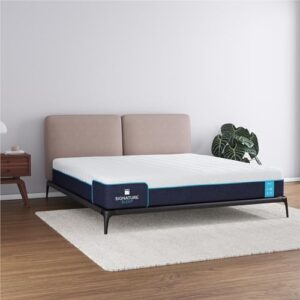 Signature Sleep Bliss 10 Inch Charcoal Cool Gel Memory Foam Mattress-in-a-Box, Medium, Certipur-US and Oeko-TEX, King