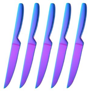 bisdarun steak knife set, 5 piece serrated heavy duty stainless steel table knife, one piece handle, cuts steak and chicken, bread (rainbow color)