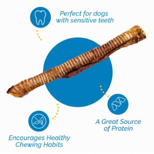 123 Treats Premium Beef Trachea for Dogs – 12 Inch 100% Natural Beef Dog Chews, Rich in Glucosamine and Chondroitin for Joint & Hip Mobility (10 Count)