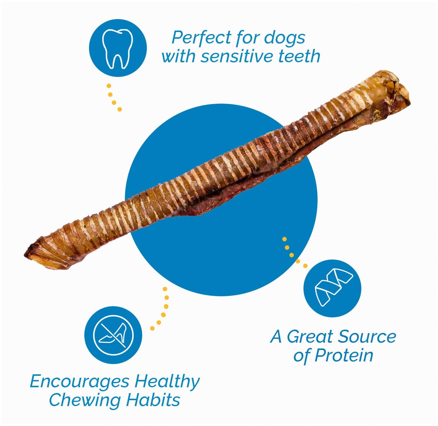 123 Treats Premium Beef Trachea for Dogs – 12 Inch 100% Natural Beef Dog Chews, Rich in Glucosamine and Chondroitin for Joint & Hip Mobility (10 Count)