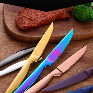 BISDARUN Steak Knife Set, 5 Piece Serrated Heavy Duty Stainless Steel Table Knife, One Piece Handle, Cuts Steak and Chicken, Bread (Rainbow Color)