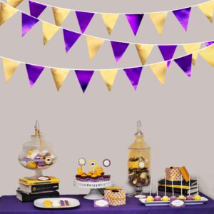 Purple and Gold Party Decorations Metallic Fabric Triangle Pennant Banner Flag Bunting Garland for Graduations Birthday Retirement Wedding Baby Shower Bachelorette Halloween Outdoor Party Supplies