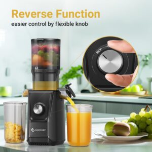 Cold Press Juicer - 4.25 IN Large Feed Chute Juicer Machine for Whole Fruit - Anti Drip Slow Juicer with Reverse Function - Masticating Juicer with Double-Layer Filter, Quiet Motor, Black