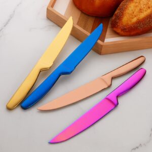 BISDARUN Steak Knife Set, 5 Piece Serrated Heavy Duty Stainless Steel Table Knife, One Piece Handle, Cuts Steak and Chicken, Bread (Rainbow Color)