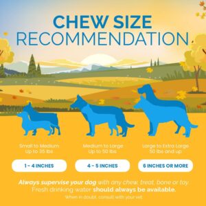 123 Treats Premium Beef Trachea for Dogs – 6 Inch 100% Natural Beef Dog Chews, Rich in Glucosamine and Chondroitin for Joint & Hip Mobility (10 Count)