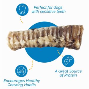 123 Treats Premium Beef Trachea for Dogs – 6 Inch 100% Natural Beef Dog Chews, Rich in Glucosamine and Chondroitin for Joint & Hip Mobility (10 Count)