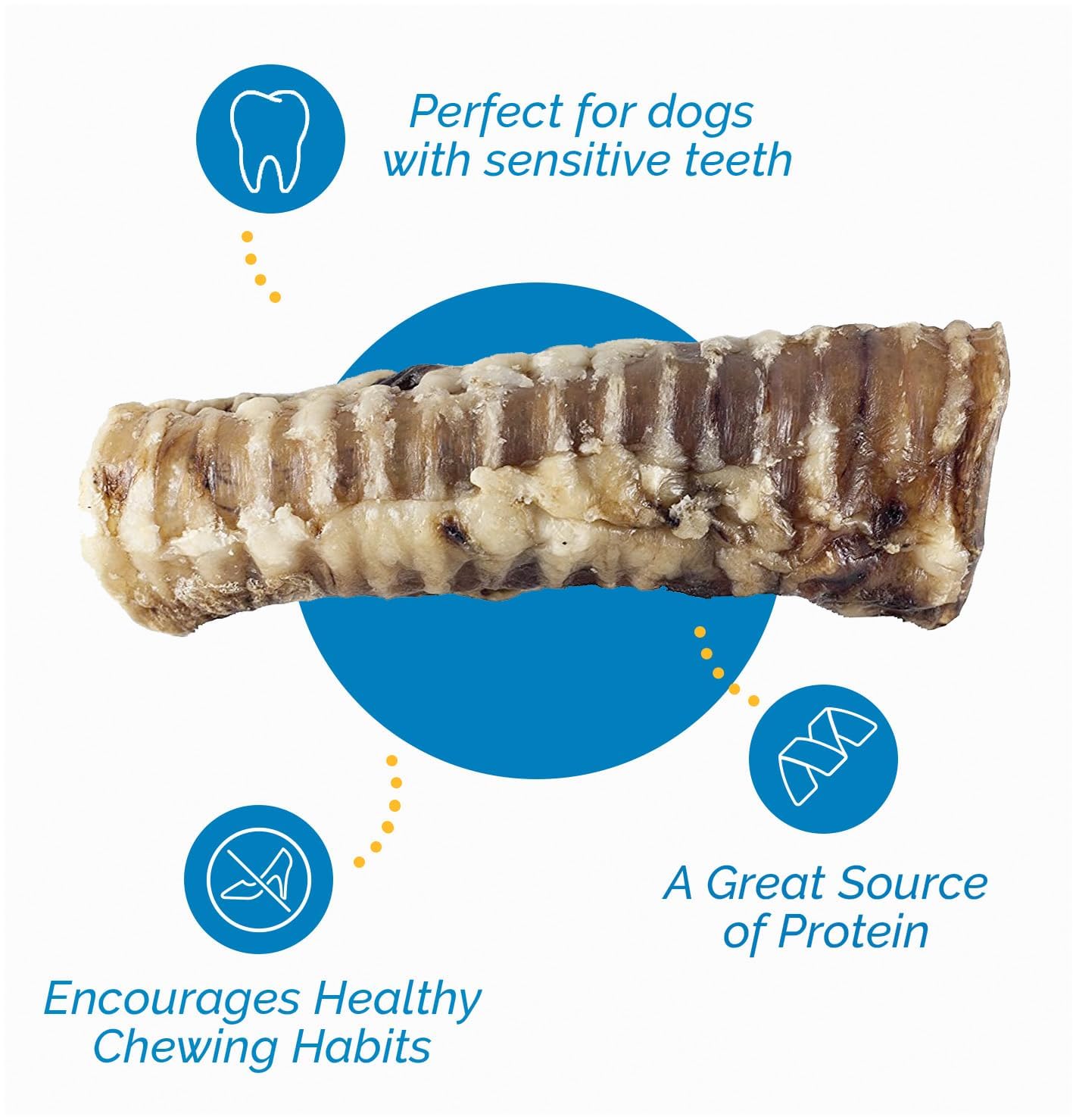 123 Treats Premium Beef Trachea for Dogs – 6 Inch 100% Natural Beef Dog Chews, Rich in Glucosamine and Chondroitin for Joint & Hip Mobility (10 Count)