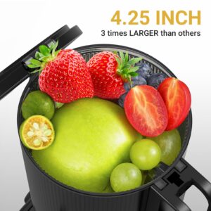 Cold Press Juicer - 4.25 IN Large Feed Chute Juicer Machine for Whole Fruit - Anti Drip Slow Juicer with Reverse Function - Masticating Juicer with Double-Layer Filter, Quiet Motor, Black