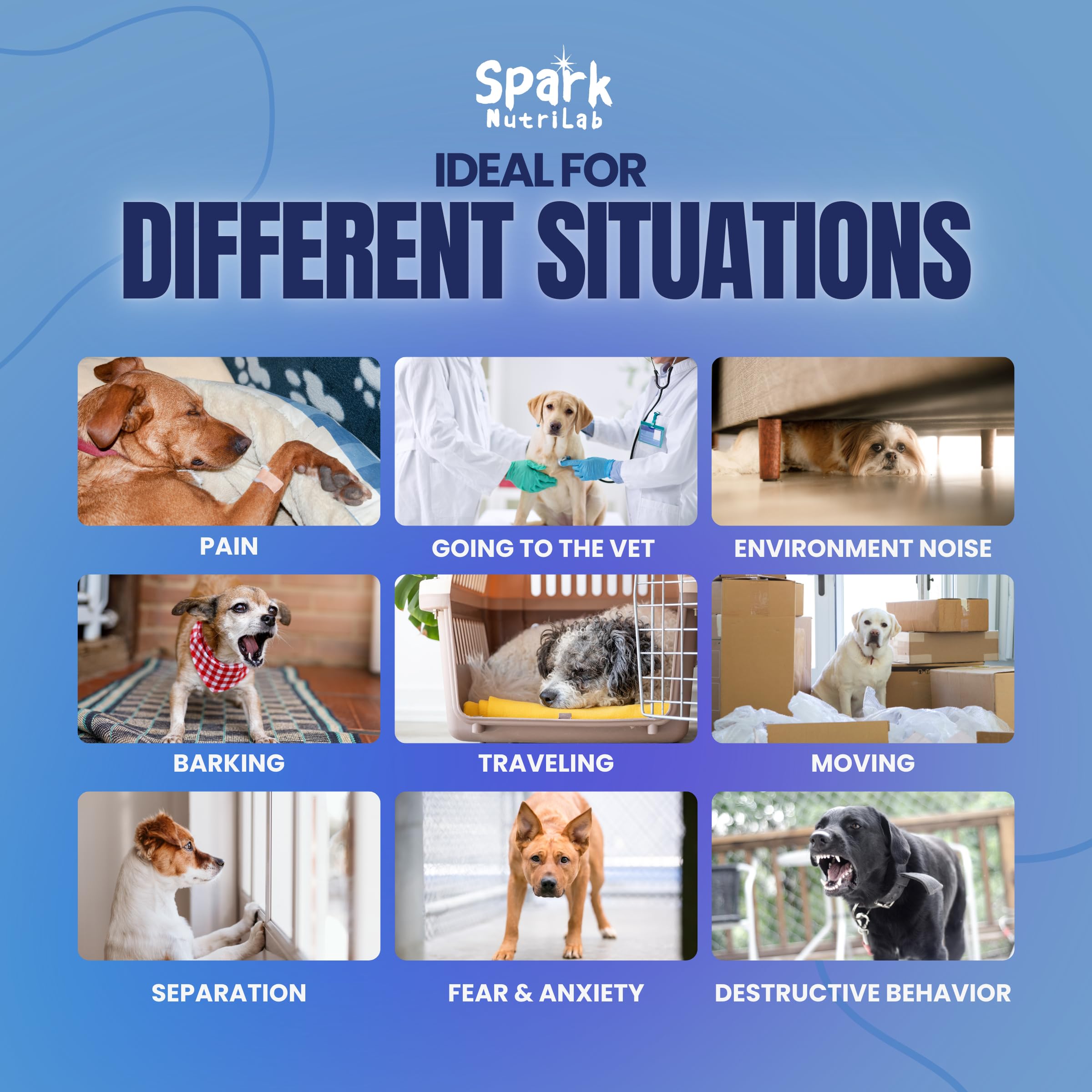 Spark NutriLab Calming Chews for Dogs - 120 Count Soft Chews for Anxiety Relief with Hemp, Chamomile & Valerian - Duck Flavor, Natural Ingredients for Stress, Barking & Separation - for All Dog Sizes