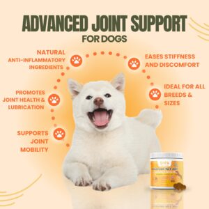 Joint Support Chews for Dogs - Advanced Dog Hip & Joint Relief Supplement for Small to Large Breeds, 120 Count Flavor Soft Chews with Glucosamine, Chondroitin, Turmeric & Hemp Oil - Made in USA