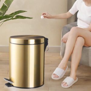 DimyFew Pedal Bin Step Trash Can Slient with Lid and Step Foot Pedal, Slim, Garbage Bin Trash Bin for Home Office Bedroom Living Room