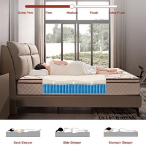 WUYOTRE Queen Mattress, 10 Inch Memory Foam Mattress in a Box,Hybrid Bed Mattress with Individual Pocket Spring,Strong Edge Support,Pressure Relief,Back Pain Relief,CertiPUR-US