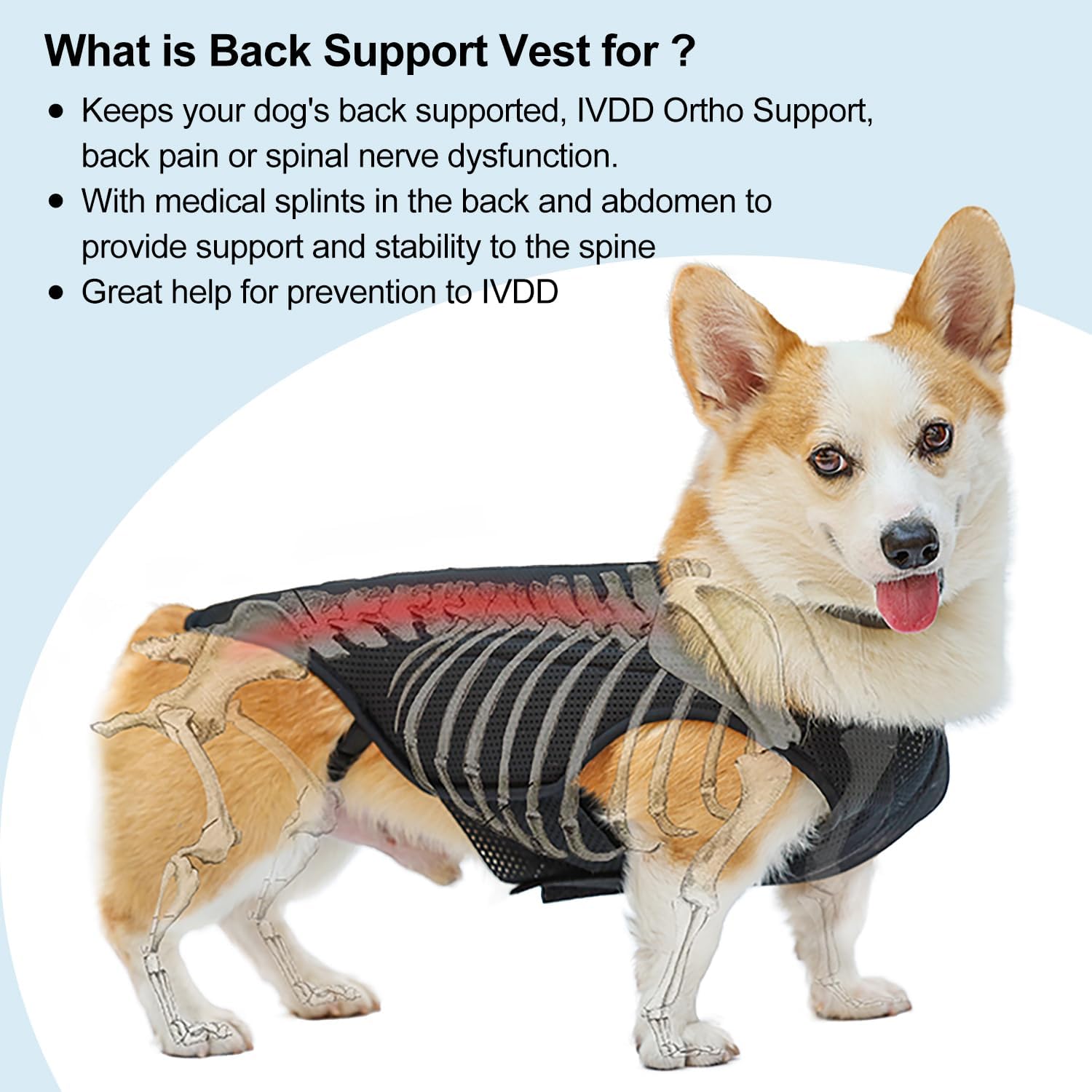 ETIAL IVDD Back Brace for Dogs, Pet Dachshund Back Supporting Vest, Canine Dog Back Bracer for Puppy with Arthritis, Herniated Disc, Back Pain, Spinal Surgical Recovery and Rehabilitation (S)