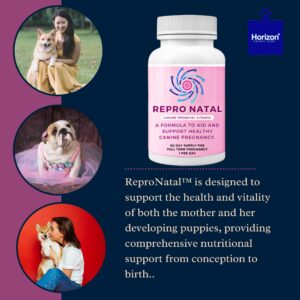 Horizon Animal Care Canine Prenatal Multi-Vitamin Capsules - 60-Day Supply to Aid Full-Term Pregnancies and Promote Optimal Health for Expecting Dogs - ReproNatal™ Dog Supplement