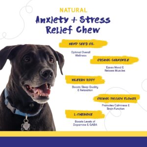 PupGrade 2-Pack Skin & Coat and Anxiety Chews for Dogs - Coat Care & Allergy Defense Supplement with Natural Fish Oils - Natural Muscle Relaxant - 120 Chews