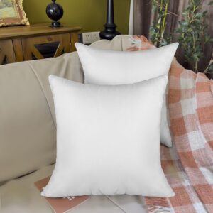 QSWRD 16 x 16 Outdoor Pillow Inserts Pack of 4 Small Throw Pillow Inserts Waterproof Patio Furniture Pillows Decorative Porch Couch Pillows Premium White Square Sofa Cushion Sham Stuffer