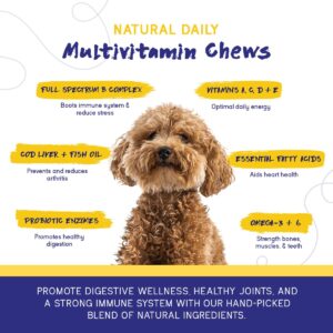 PupGrade 2-Pack Skin & Coat and Daily Multivitamin for Dogs - Coat Care & Allergy Defense Supplement with Natural Fish Oils - All-in-One Supplement - 90 Chews