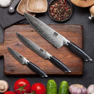 SHAN ZU 3PCS Kitchen Knife Set,Chef Knife Set in Powder Steel, Ultra Sharp Japanese Knife Set High Carbon Steel Knives Sets, Cooking Knives Set with Ergonomic Pakkawood Handle