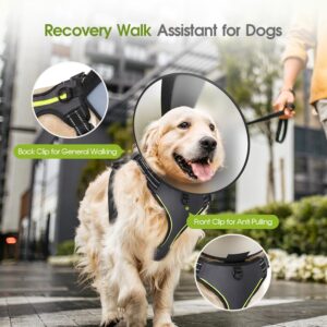 2-in-1 Dog Cone Collar & Harness: Elizabethan Collar After Surgery for Small Dogs - No Pull Dog Vest Harness Escape Proof Walking Jogging - S