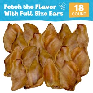 FETCHERONI Whole Pig Ears for Golden Retriever Dogs Large - 18 Pack Long Lasting Dog Chews – Dog Treats One Ingredient Delicious All Natural Flavor – Easy to Digest Dog Treats for Large Dog