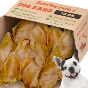 fetcheroni whole pig ears for french bulldogs large - 13 pack long lasting dog chews – dog treats one ingredient delicious all natural flavor – easy to digest dog treats for large dog