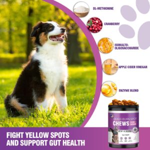 Grass Burn Spot Chews for Dogs Dog Pee Grass Neutralizer 200 Green Grass Dog Chews Urine Lawn Spot Protector Urinary Tract Support Dog Bladder Support Cranberry, Apple Cider Vinegar, DL-Methionine