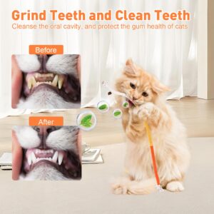 TEAWOO Sisal Rope Cat Toys, 6 Pcs Cat Chew Toy for Teeth Cleaning, 27.56 Inches Big Catnip Rope Toys for Indoor Cats, Interactive Cat Nip Teething Toys, Safe Chew Cat Toys (6 Bags of Catnip Included)