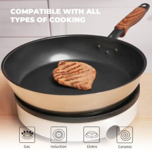 ZHANG XIAO QUAN SINCE 1628 Non Stick Frying Pan, Stainless steel Pan, 11" Skillet, Omelette Pan Ceramic Coating, Non Toxic Cooking Pan, Works on Induction, Electric Stove and Gas Cooktops