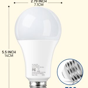 200-250 Watt Equivalent LED Light Bulb, A21 Super Bright LED Light Bulbs 25W, High Output 2800 Lumens, E26 Daylight White 5000K for Home, Office, Store, Garage, Warehouse, Garden, 2-Pack