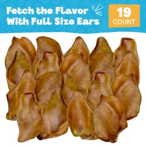 FETCHERONI Whole Pig Ears for German Shepherd Dogs Large - 19 Pack Long Lasting Dog Chews – Dog Treats One Ingredient Delicious All Natural Flavor – Easy to Digest Dog Treats for Large Dog