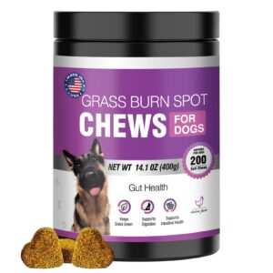 grass burn spot chews for dogs dog pee grass neutralizer 200 green grass dog chews urine lawn spot protector urinary tract support dog bladder support cranberry, apple cider vinegar, dl-methionine