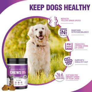 Grass Burn Spot Chews for Dogs Dog Pee Grass Neutralizer 200 Green Grass Dog Chews Urine Lawn Spot Protector Urinary Tract Support Dog Bladder Support Cranberry, Apple Cider Vinegar, DL-Methionine