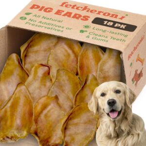 fetcheroni whole pig ears for golden retriever dogs large - 18 pack long lasting dog chews – dog treats one ingredient delicious all natural flavor – easy to digest dog treats for large dog