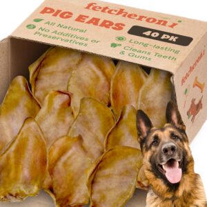 fetcheroni whole pig ears for german shepherd dogs large - 40 pack long lasting dog chews – dog treats one ingredient delicious all natural flavor – easy to digest dog treats for large dog