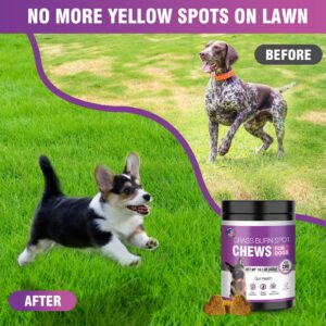 Grass Burn Spot Chews for Dogs Dog Pee Grass Neutralizer 200 Green Grass Dog Chews Urine Lawn Spot Protector Urinary Tract Support Dog Bladder Support Cranberry, Apple Cider Vinegar, DL-Methionine