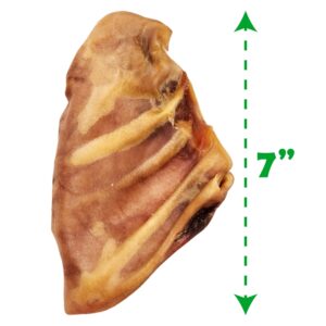 FETCHERONI Whole Pig Ears for German Shepherd Dogs Large - 19 Pack Long Lasting Dog Chews – Dog Treats One Ingredient Delicious All Natural Flavor – Easy to Digest Dog Treats for Large Dog