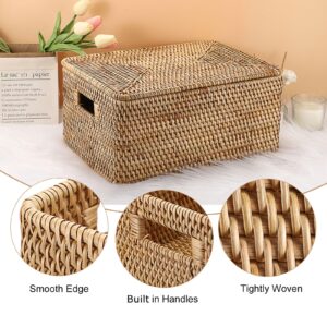 Hipiwe Rattan Basket Box for Shelf Organizing, Natural Storage Wicker Basket Bins with Handles, Large Lidded Basket Rectangular Rattan Box Handwoven Decorative Basket Box,15.1"x11.2"x7.3"