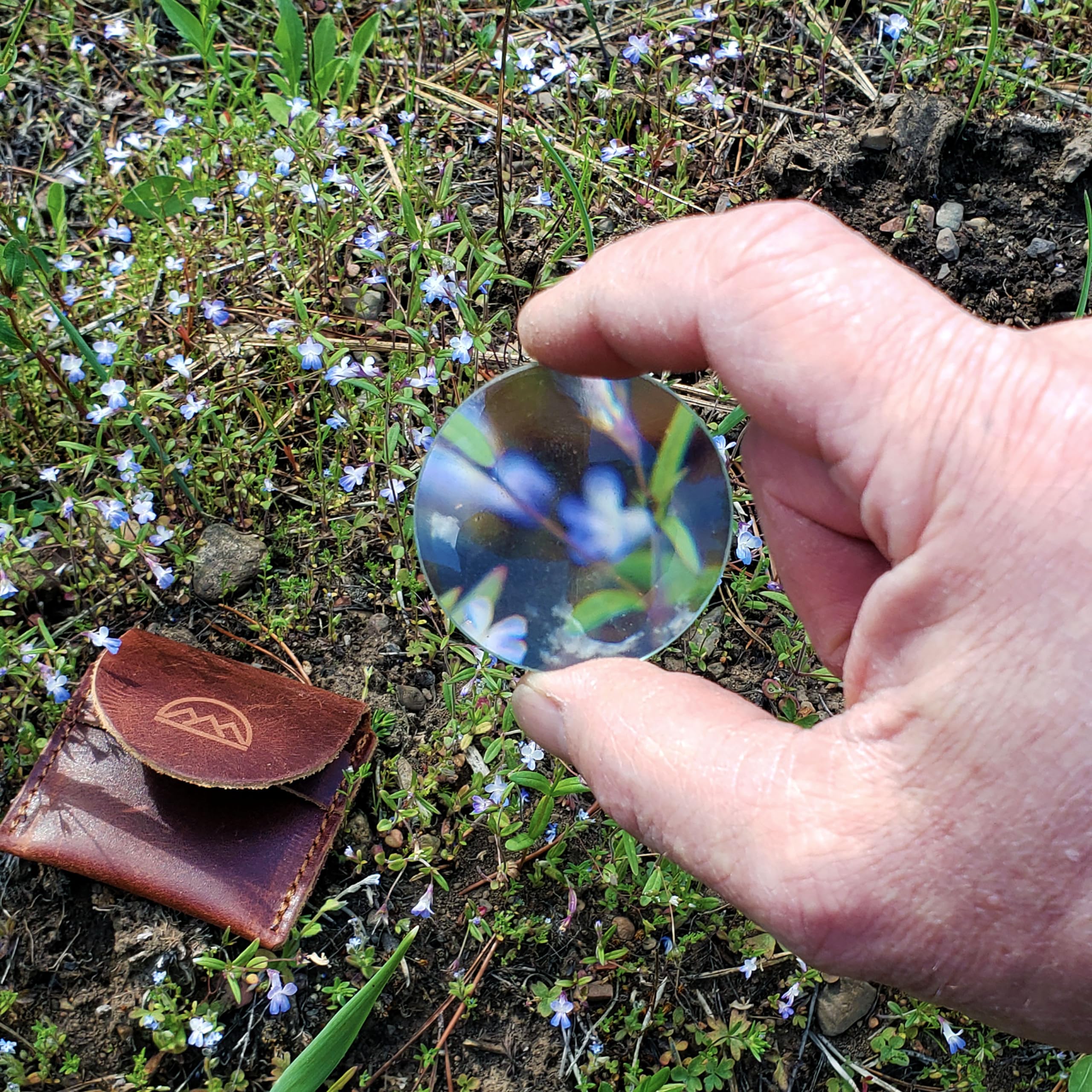 Coopers Bay Pocket Magnifying Lens in Leather Carry Pouch for Fire Making, Tracking, Plant ID, etc.