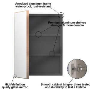 Gold Bathroom Medicine Cabinet with Mirror, Square Rectangle Single Door Recessed or Surface Wall Mounted Aluminum Bathroom Medicine Cabinet, Modern Vanity Mirror 16" W x 22" H